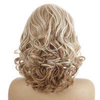 Synthetic Short Wigs for Women Short Curly Heat Resistant Fiber Hair Light Gold and Brown Wigs