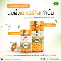 นมผึ้ง Natures King Royal Jelly 1000 mg. (365 / 120 เม็ด) ฟื้นฟูเซลล์ผิว ชะลอวัย