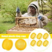 6 Pcs Beekeeping Rearing Box Plastic Queen Bee Cages Equipment Of Beekeeping Beel For Isolation Queen C5A3