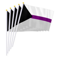 PTEROSAUR 14X21ซม. Demisexual Pride Hand Flag, Demitersual Hand Held Waving Small Flag Q Party Decor ของขวัญ,50100ชิ้น