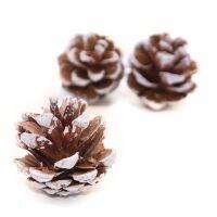 10ชิ้น/ล็อตโคนลูกสนธรรมชาติของตกแต่งต้นไม้ Pinecone Xmas ต่างหูอุปกรณ์ประกอบฉากการตกแต่งงานปาร์ตี้ Diy ปีใหม่