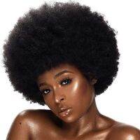 Hot cheap machine made afro kinky curly zilian 100 virgin hair short pixie cut perruque full lace ombre human hair wigs