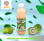 SINH TỐ MỨT MÃNG CẦU VINA 1L NGON RẺ GIÁ TỐT TIỆN SỬ DỤNG