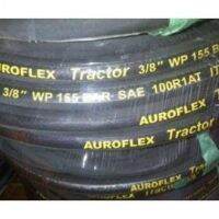 Hydraulic Hose 1-12 Inch R1 X Pj 500Mm X Mb-Mb