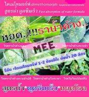 สารป้องกันกำจัด โรคราน้ำค้าง หยุดโรคหน้าฝน ราดำ ใบดำ ปื้นดำ ราแตง ใบดำโหระพา แมงลัก ผักชีฝรั่ง สาระแหน่ กะเพรา รีอัน ไดเมโทมอฟ แพคคู่