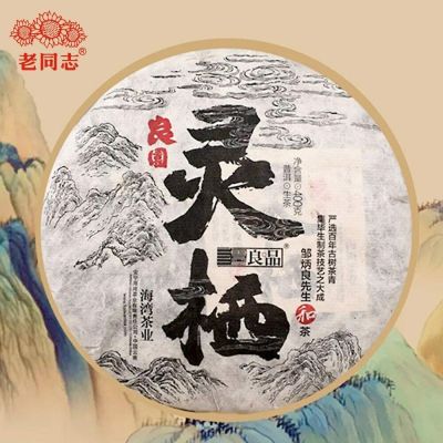 Raw Puer Tea Cake 2020 Haiwan The Gathering of Plant Spirit Shen Puerh Tea 400g