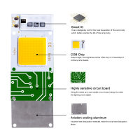 LED Chip Matrix COB Chip AC220V 10W 20W 30W Smart IC No Need Driver LED Bulb Lamp for Flood Light Spotlight Outdoor Diy Lighting