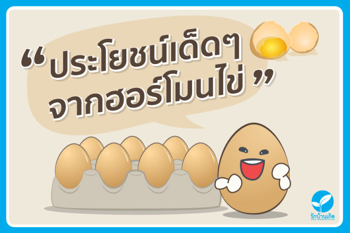 ฮอร์โมนไข่-สูตรเข้มข้นพิเศษ-แตกต่างไม่เหมือนใคร-แก้ปัญหาต้นโทรม-ช่วยเร่งการเจริญเติบโต-เร่งดอก-เร่งดก-เพิ่มผลผลิต-ช่วยให้พืชแข็งแรง-ต้านทานโรค-ขวดใหญ่-1-5-ลิตร-ส่งฟรีเคอรี่