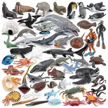 10 sinh vật biển kỳ lạ tại khu bảo tồn biển Chile  Tuổi Trẻ Online