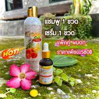 แพ๊คคู่ ผมดก แชมพูผมดก 1ขวด +เซรั่ม ผมดก เร่งผมยาว 1ขวด พิเศษเพียง 580 บาท ส่งฟรี คันรังแค เร่งยาว ผมดก ชลอหงอก บำรุงถึงรากผม รื่น มีน้ำหนัก