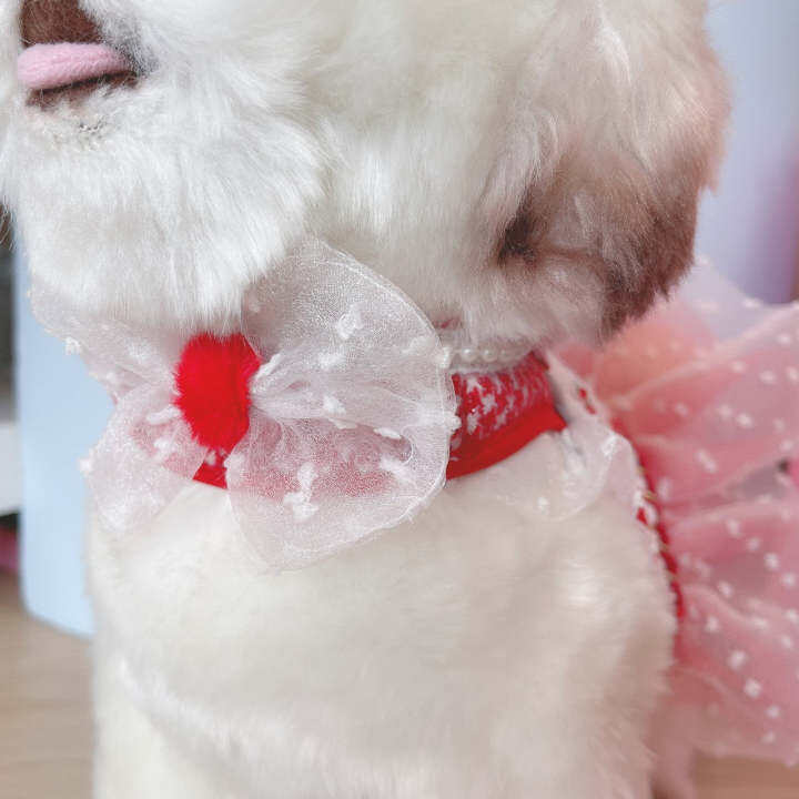 glitter-pooch-harness-ชุดรัดอก-สายจูง-เสื้อผ้า-สุนัข-หมา-แมว-สัตว์เลี้ยง-พร้อม-สายจูง-รุ่น-white-polar-xmas-girl