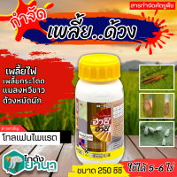 ? ฮาชิ ฮาชิ (โทลเฟนไพแรด) ขนาด 250ซีซี กำจัดด้วงหมัดผักแถบลาย หนอนใยผัก ในคะน้า เพลี้ยอ่อน เพลี้ยไก่แจ้ส้ม