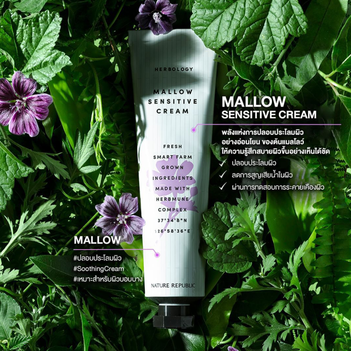 nature-republic-herbology-mallow-sensitive-cream-70ml