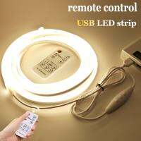 [ANYA Auto Parts] เซ็นเซอร์ตรวจจับการเคลื่อนไหว PIR USB DC5V ในครัวแถบไฟ LED กวาดมือโบกบน OFF รีโมทคอนโทรล RF แถบไฟกลางคืนนีออนมีความยืดหยุ่น