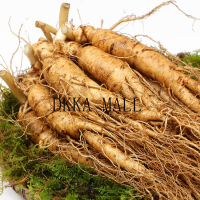 【ดีเคมอลล์】โสมสดเก่าโสม 110G โสมป่า Changbai ภูเขาโสมสดไวน์ซุป