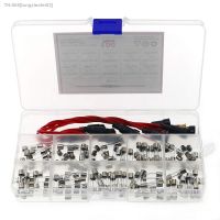 ❁✽ 5pcs 5x20mm Fuse Holder Inline Screw Type with 16 AWG Wire 100pcs Quick Blow Glass Tube Fuse Assorted Kit 250V