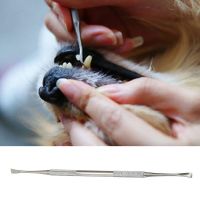 【cw】 Double-head Tartar Stone Remover Scraper Scaler for Dog Oral ！