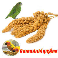 มิลเล็ตสเปรย์ Millet Spray อาหารนก สำหรับนก นกแก้ว หนูแฮมเตอร์ 250กรัม