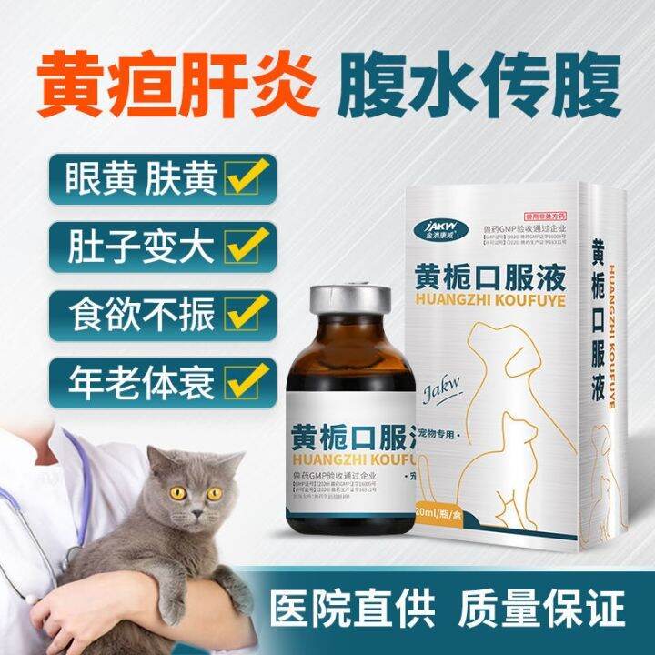 Cat abdominal medicine dog hepatitis pet ascites liver protection cat kidney failure jaundice