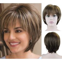 JOY&amp;BEAUTY Women Hair Synthetic Mixed Blonde Brown Short Wigs Natural Hair Wigs Heat Resistant Hair Wig for Women