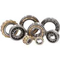 Free shipping high quality cylindrical roller bearings NJ202 203 204 205 206 207 208 209 210 211 212EM