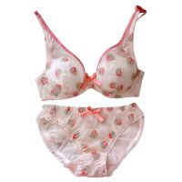 Cute Lolita Girl Bra Set Sexy Transparent Mesh Lace Ultra-thin Bras Lingerie Briefs Strawberry Embroidery Underwear Bralette