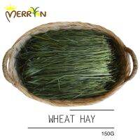 ☌☈ ข้าวสาลีออแกนิค - hay by Merryn (150G)