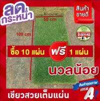 01 ราคาถูกที่สุด หญ้านวลน้อย มีของพร้อมส่ง ซื้อ 10 ฟรี 1  หญ้าปูสนาม ขนาด 50x100 cm พื้นที่ กลางแจ้ง