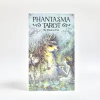 Phantasma ไพ่ทาโรต์สำหรับความบันเทิงโชคชะตาครอบครัวพรรคการ์ดเกมไพ่ทาโรต์และความหลากหลายของตัวเลือกไพ่ทาโรต์คู่มือโบรชัวร์