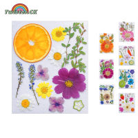 Dried Flowers For Resin Natural Fruits Pressed Flowers DIY Kit For Phone Case Epoxy Resin Filling Pendant Jewelry Making Nail Art Decor