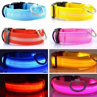 ❁ Nylon Dog Collar Flash Night Safety LED Collar Glow Cat Dog Collars Harness Pet Creative Dogs Luminous Fluorescen ID Tag