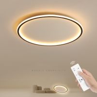 Led Ceiling Lamp 25W 30W 48W 58W Modern Indoor Lighting Fixture Ceiling Light for Living Room Bedroom Kitchen Led Panel Lights