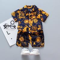 ✨ New Arrival 1-5 Y Baby Boys suits kids clothing Boys Fashion suits -Shirt+Short pants 2Pcs 2021 new design 1-5Y kids 2Pcs baby baju