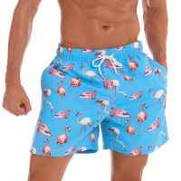 Flamingo Print Board Shorts Men Fashion Swimwear Shorts Trunk Sports Pants Mens Briefs Swimsuit Kids Fruit Beach Short Boy