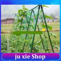 JuXie store 4 Sizes Garden Plant Climbing Net Stand Holder Green Nylon Trellis Netting Mesh Support Bean Growing Fence Net Line