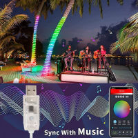 USB Led Fairy Lights Bluetooth Rgbic Garland Led Garland Light String Sync Music for Christmas New Year Wedding Party Tree Decor