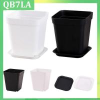 1 Set Planter Pot Trays Mini Square Plastic Flower Pot Home Office Succulent Plants Nursery Pot Green Garden Tools QB7LA Shop