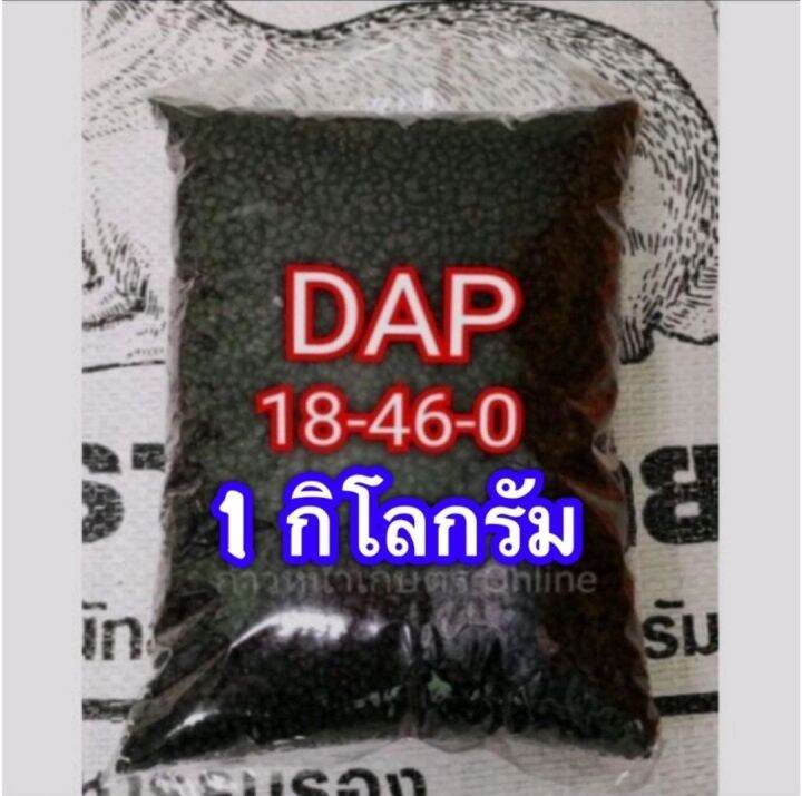 ส่งไว-ปุ๋ย-แดป-18-46-0-สะสมอาหาร-เร่งออกดอก-บำรุงราก