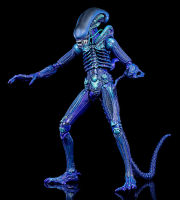 2022ภาพยนตร์ Neca Avp โมเดลที่เคลื่อนย้ายได้ขนาด7นิ้วของ Alien รูปเอเลี่ยนสีฟ้าของนักรบ