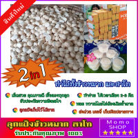 แป้งข้าวหมาก แป้งสาโท สูตรปรับปรุงใหม่ หอม เข้ม หวานโดยไม่ต้องเติมน้ำตาลแพ็ค10ลูก+ พร้อมสูตร เก็บไว้ได้นาน เชื้อแรงทุกลูก ส่งด่วน