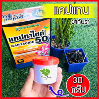 ยากันรา ยากันเชื้อราแคคตัส cactus  ชนิดผง ยากันราแคปแทน (Captan - Captacide 50)  แคปแทน  แคคตัส ไม้ประดับ แบ่งขาย 30 กรัม?