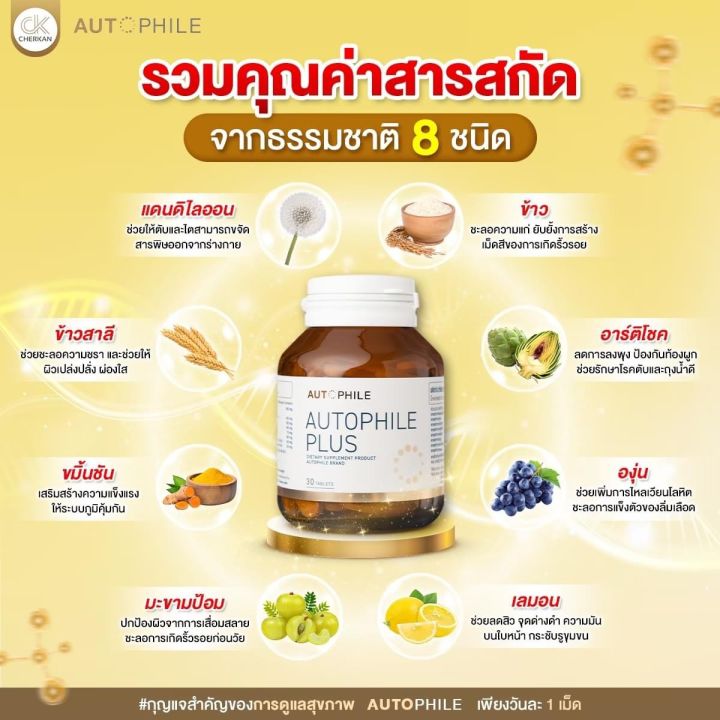 อาหารเสริมแอนทองประสมของแท้-autophile-plus-ออโตฟิล-พลัส-ลดโอกาสการเกิดอัลไซเมอร์-วันละ1เม็ด-เพื่อสุขภาพที่ดี-1กระปุก-30เม็ด