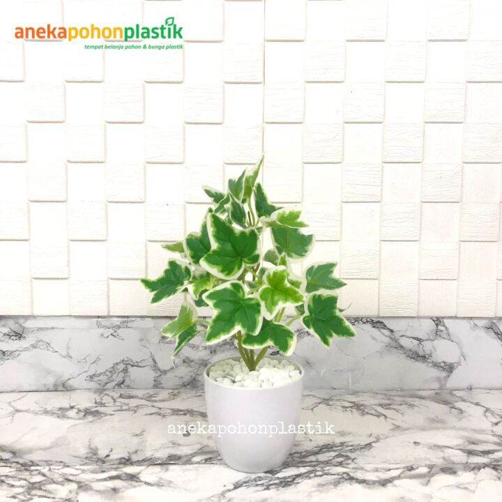 Tanaman Hias Daun Maple Hijau Putih X5 Artificial Pot Melamine Putih