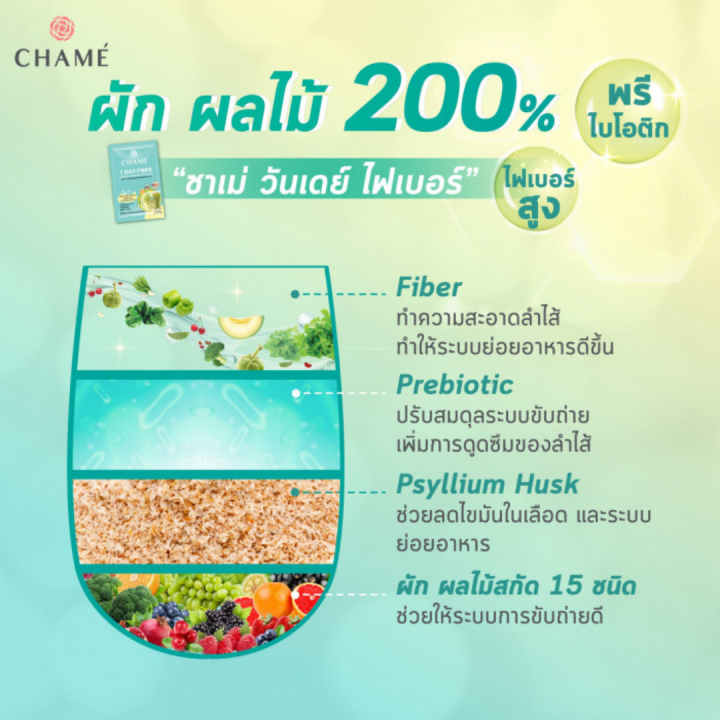 cham-1-day-fiber-ผลิตภัณฑ์-อาหาร-เสริม-ชาเม่-วันเดย์-ไฟเบอร์