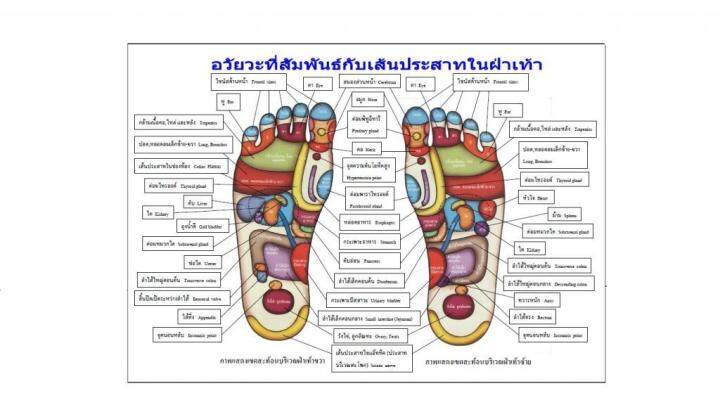 แพ็คคู่ราคาสุดคุ้ม-นวดเท้า-เครื่องนวดเท้า-ที่นวดเท้า-ที่นวดกดจุดฝ่าเท้า-ที่นวดฝ่าเท้า-ที่นวดรูปฝ่าเท้า-ที่นวดเท้าแบบนวดรูปโค้ง-ไม้นวดเท้าเพื่อสุขภาพ-ยืนเพื่อสุขภาพ-แท่นยืนคลายเส้น-healthy-stand-ใช้บริ