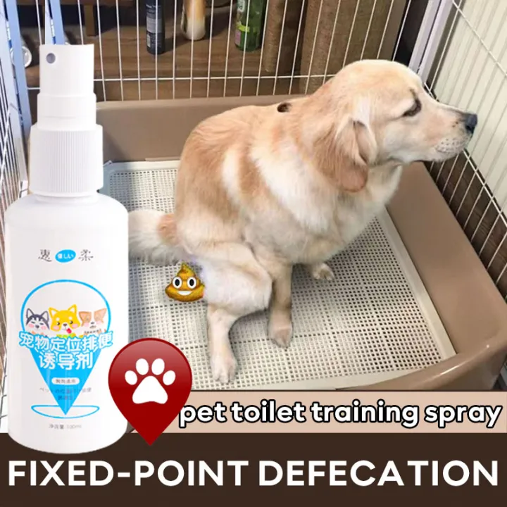 DSY Fixedpoint defecation pet potty training spray get your dog