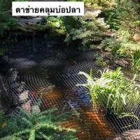 ตาข่ายคลุมบ่อปลา อ่างเลี้ยงปลา ในสวน ป้องกันนก ป้องกันใบไม้ล่วง ขนาด2x4เมตร Fish Pond Net