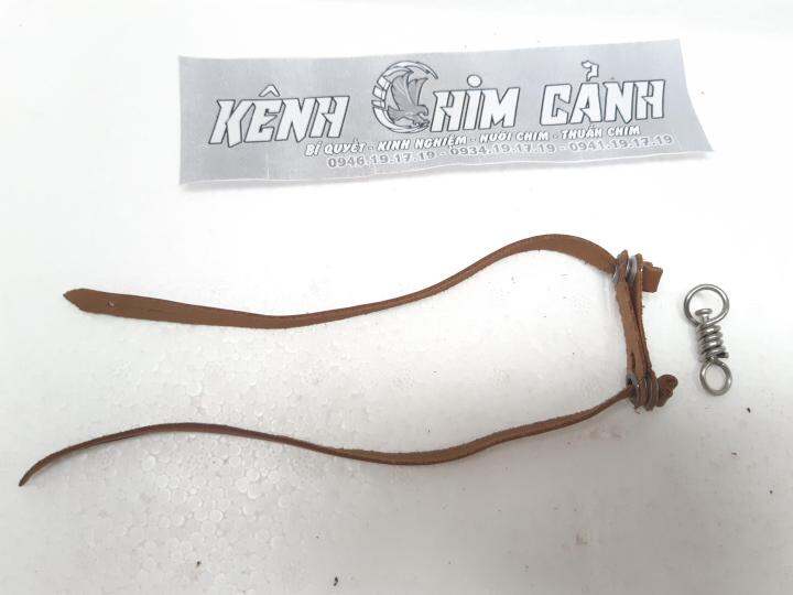 EM DUNG - KÊNH CHIM CẢNH MIỀN BẮC - YouTube