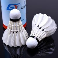 Affordable Badminton For Beginners With Playing Training Balls 3pcs