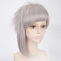 Anime 35cm Bungo Stray Dogs Nakajima Atsushi Short Silver Gray Heat Resistant Synthetic Hair Anime Cosplay Costume Wig